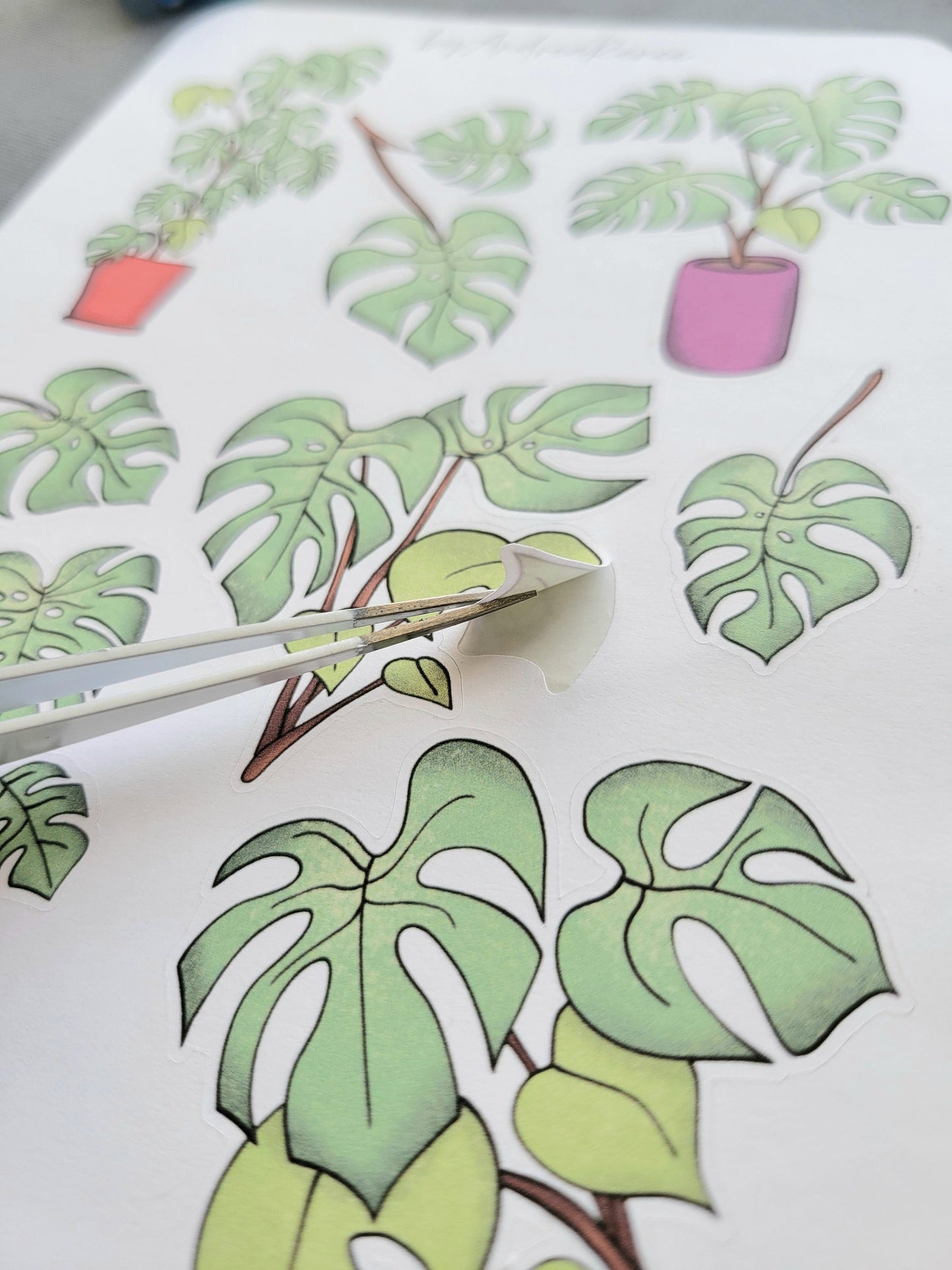 Monstera Plant Sticker Sheet Matte Finish - 8 Stickers
