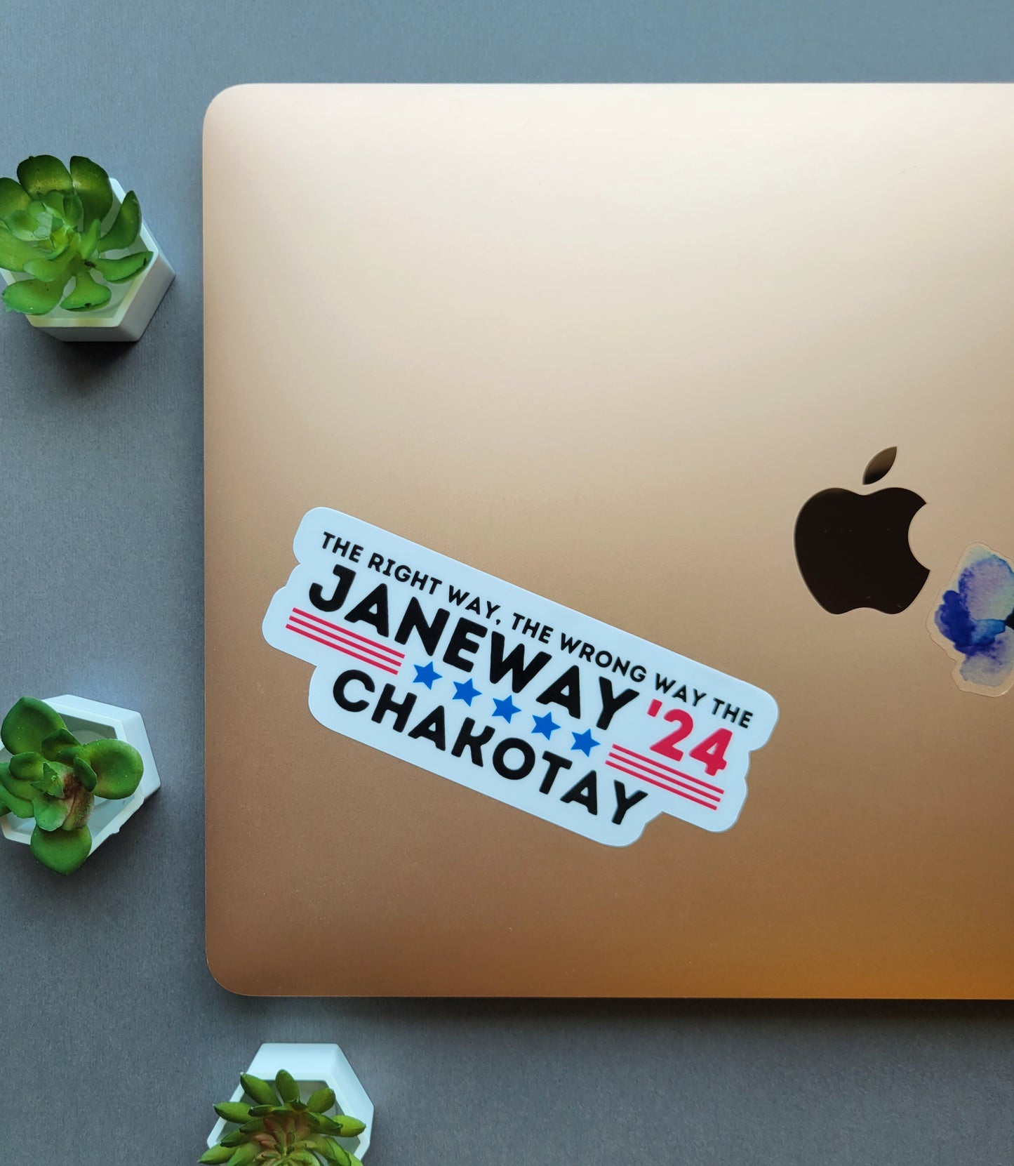 Janeway and Chakotay for President 2024 Sticker