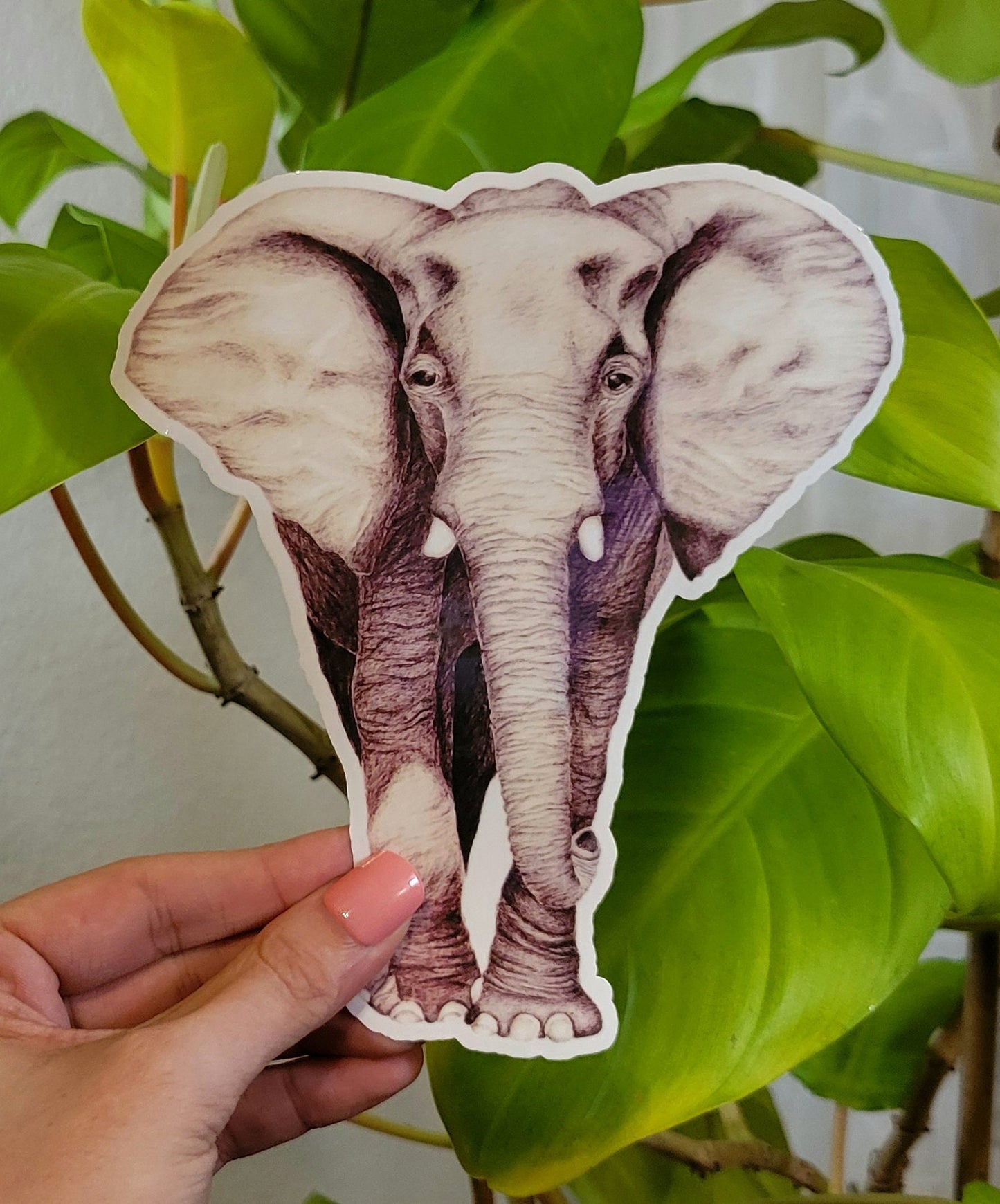 African Elephant XL Sticker