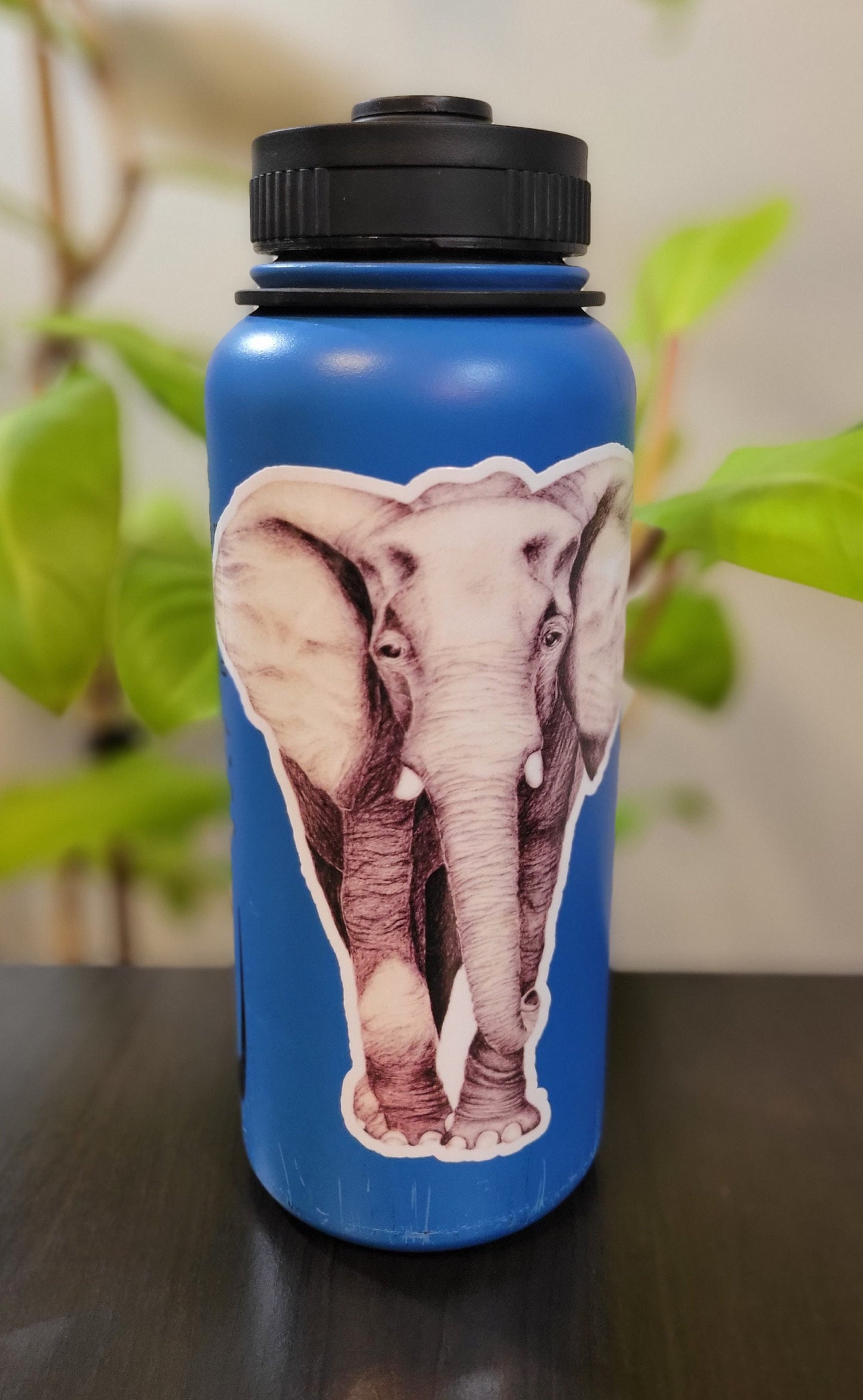 African Elephant XL Sticker