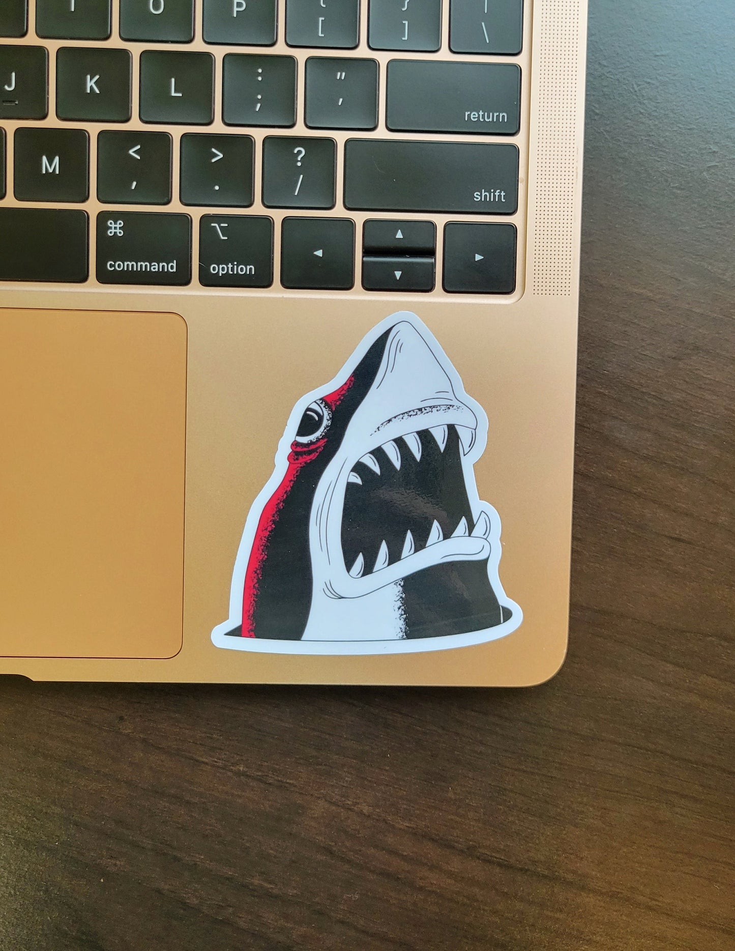 Shark Attack Sticker